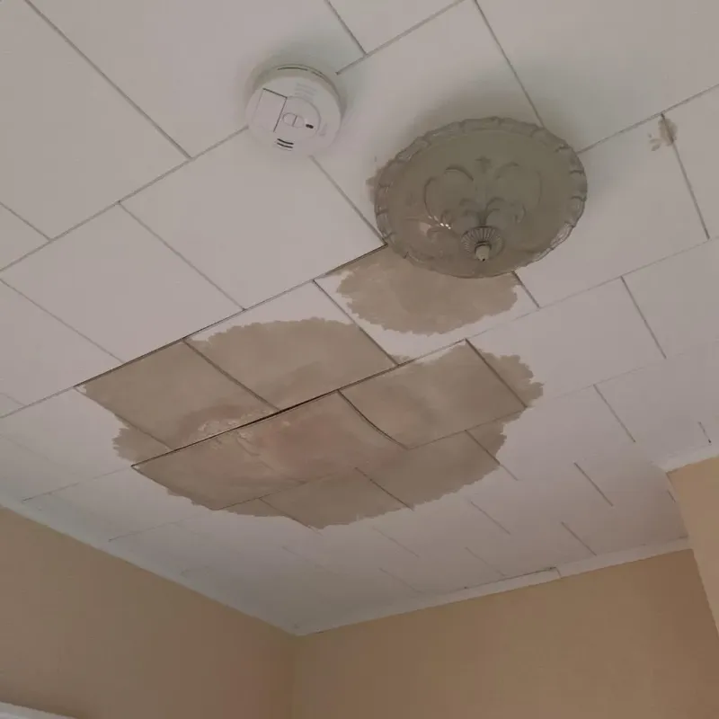 Ceiling Water Damage Repair in Wyoming, MN
