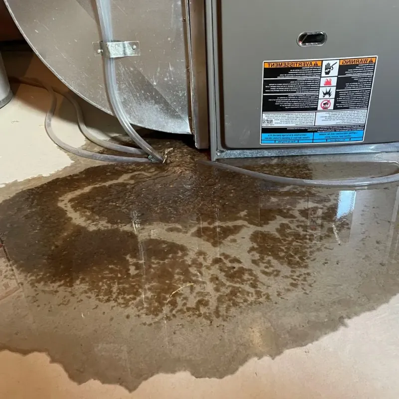 Pipe Burst and Leak Restoration in Wyoming, MN